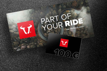 Webshop voucher 100 Euro Free gift: Scarf.